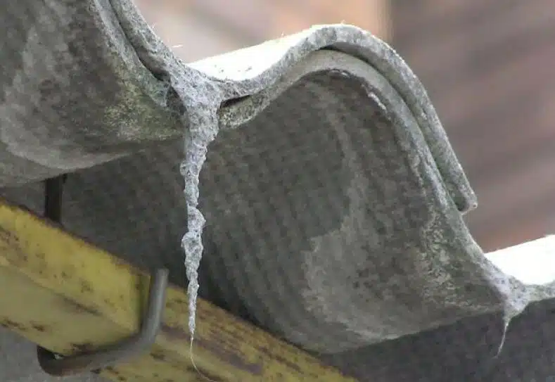 Rischio amianto nelle scuole: 3000 morti all'anno