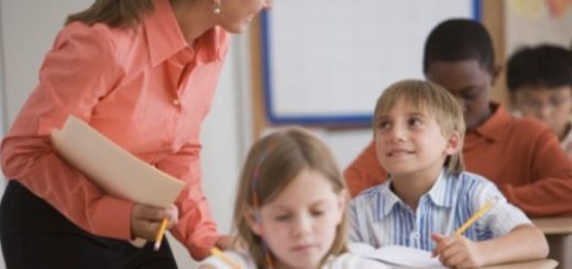 diploma magistrale cercasi insegnanti, le ultime notizie, abilitazioni