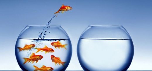 Trasferimenti Infanzia online nel pomeriggio ecco dove