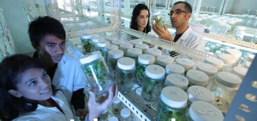 insegnanti tecnico pratici ITP