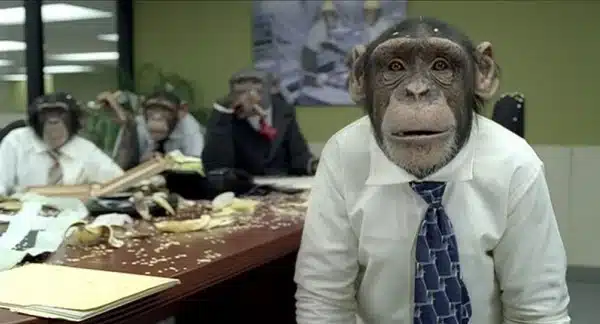 Il DL disegna un insegnante replicante per una scuola format, gli insegnanti vanno addestrati come le scimmie