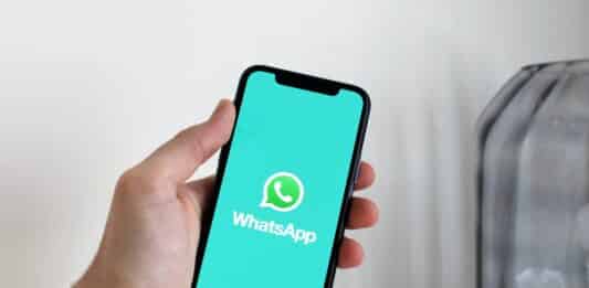 Gruppi WhatsApp di classe: guida alla sopravvivenza