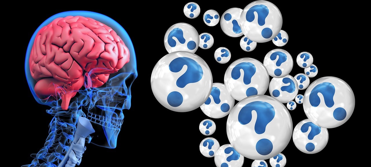 I compiti a casa li fa l'intelligenza artificiale, i docenti hanno gli strumenti per capirlo?