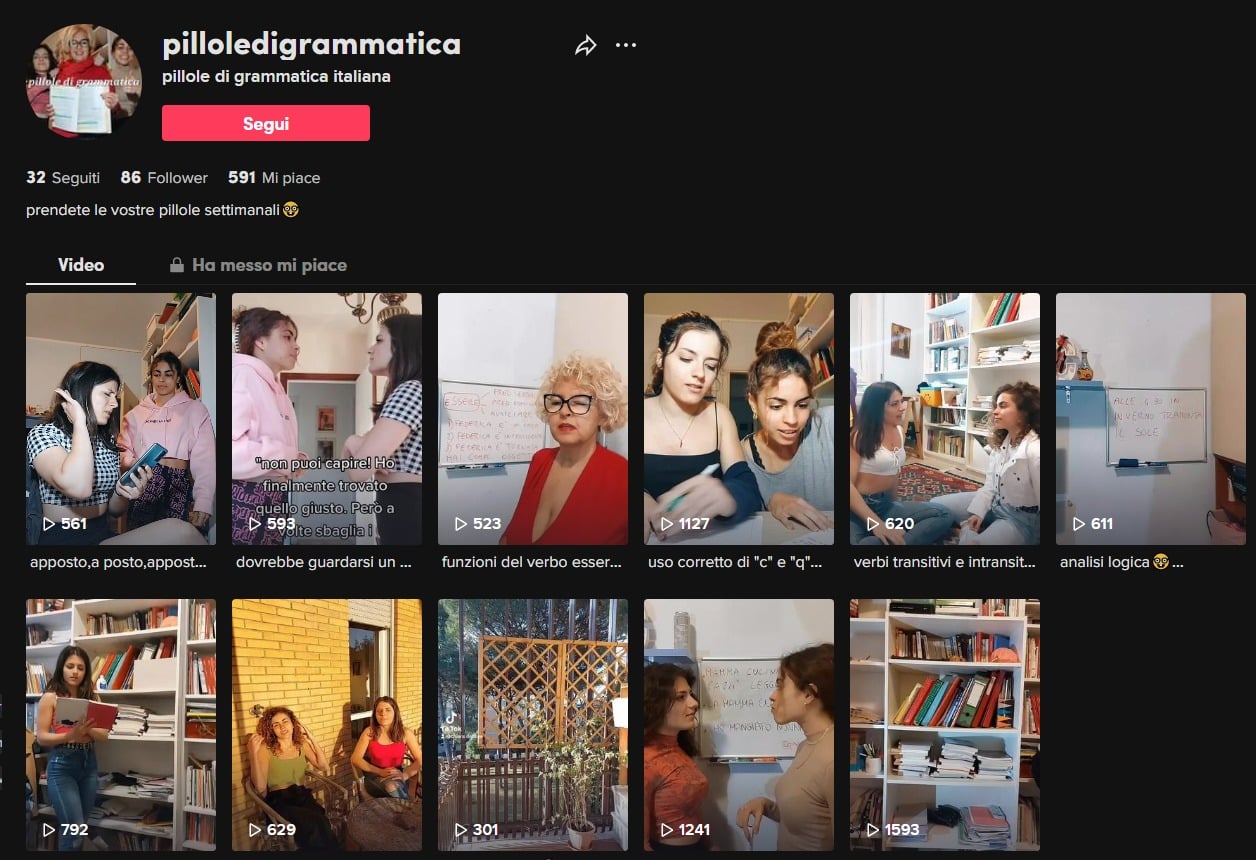 Una professoressa e le sue pillole di grammatica su TikTok un'iniziativa per promuovere la cultura e la prevenzione