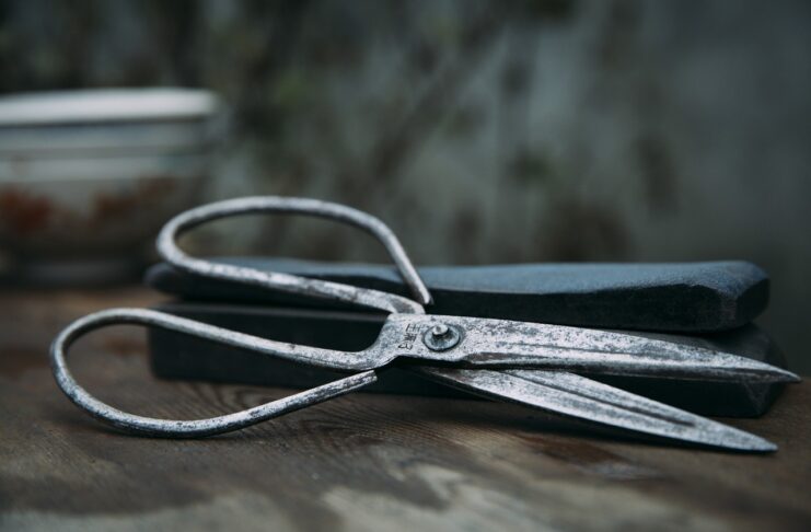 Stipendi del mese di febbraio 2024 ridotti fino a 800 euro per centinaia di migliaia di docenti